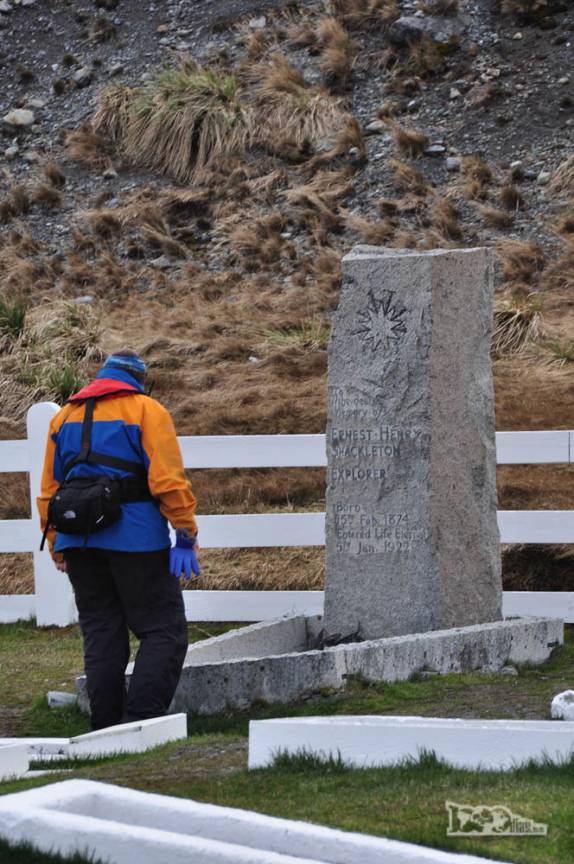 A Cheli também presta suas homenagens a Shackleton no cemitério de Grytviken, na Geórgia do Sul